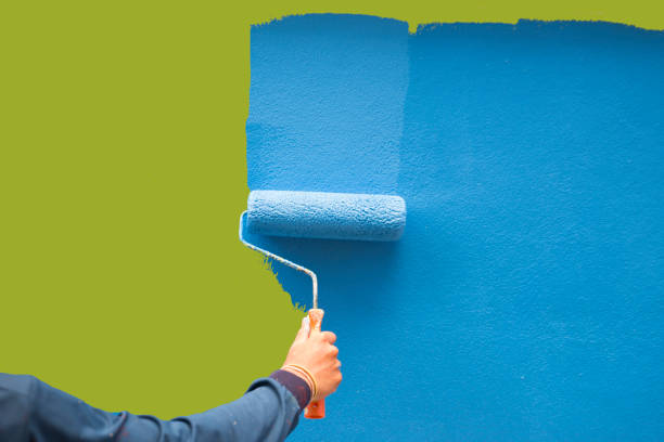 Sunset, LA Mold Removal Company
